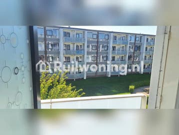 Geweldige flat voor eenpersoonsleven (Den Haag), Den Haag