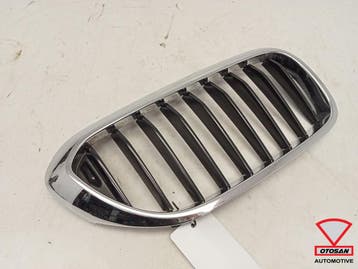 BMW 5 Serie G30 G31 Grille Nieren Rechts 51138070470, Auto-onderdelen, Carrosserie en Plaatwerk, Ophalen, Gebruikt, Rechts, BMW