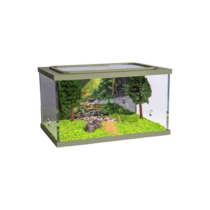 Town Square GROEN (Arena 15x10x9), Dieren en Toebehoren, Insecten en Spinnen