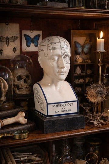 Beeld, Phrenology Head 28.5cm - 28.5 cm - Porselein - 2026, Antiek en Kunst