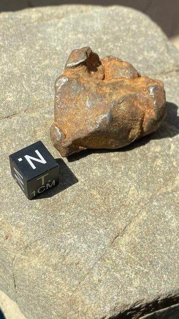 Gebel Kamil meteoriet Steenijzer meteoriet - Hoogte: 4 cm -, Verzamelen, Mineralen en Fossielen