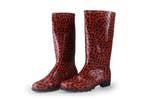 Xq Footwear Regenlaarzen in maat 39 Overig, Kleding | Dames, Schoenen, Xq Footwear, Overige kleuren, Verzenden, Regenlaarzen