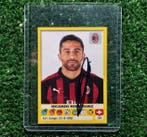 AC Milan - Italiaanse voetbal competitie - Ricardo Rodriguez, Nieuw