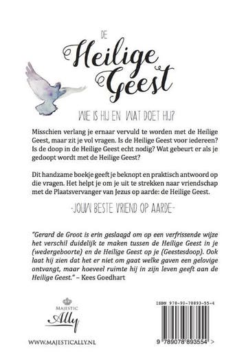 De Heilige Geest 9789078893554 Gerard de Groot, Verzenden, Gelezen, Gerard de Groot