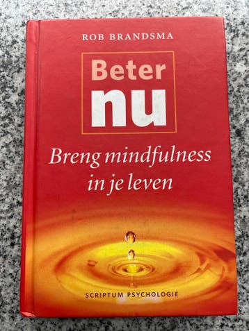 Breng mindfulness in je leven, Boeken, Gelezen, Rob Brandsma, Verzenden, Persoonlijkheidsleer