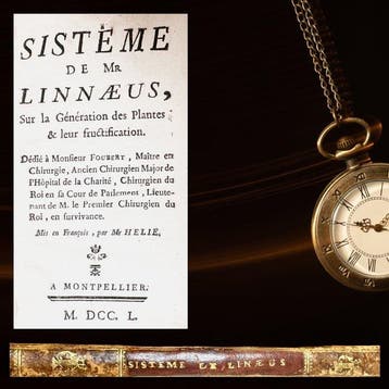 Linnaeus, Carolus - M. Helie - Sistéme de Mr Linnaeus, sur
