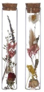 Reageerbuisjes glas met kurk 15 cm Ø3 cm doos 6 stuks, Ophalen of Verzenden, Nieuw