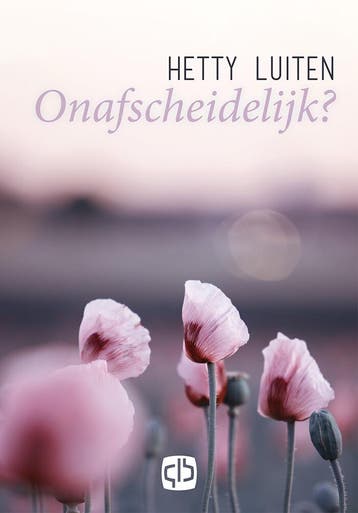 Onafscheidelijk? - Hetty Luiten 9789036433617, Verzenden, Gelezen, Hetty Luiten