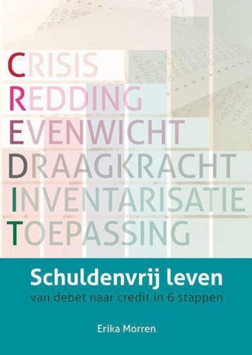 schuldenvrij leven 9789082075502 Erika Morren, Boeken, Verzenden, Zo goed als nieuw, Erika Morren