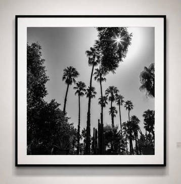 Ben Dauchez - An after noon at Majorelle B&W