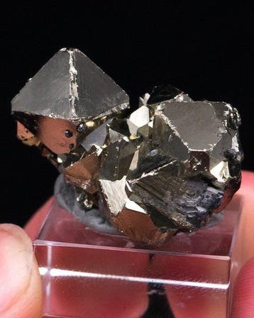 (PERUVIAN CLASSIC) GOLDEN PYRITE Exemplaar - Hoogte: 3 cm -