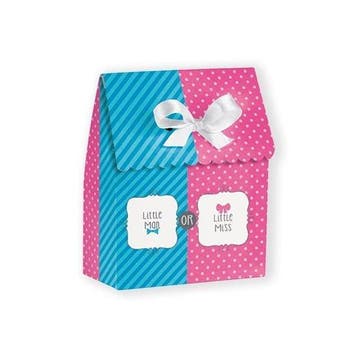 Uitdeelzakjes Gender Reveal Party, Ophalen of Verzenden, Nieuw