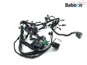 Kabelboom Ducati Monster 1100 2008-2010 (1/510.1.591.1B), Verzenden, Gebruikt