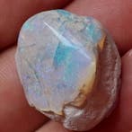 Opaliseerde schelp - Gefossiliseerde schelp - 25 mm - 20 mm, Verzamelen, Mineralen en Fossielen