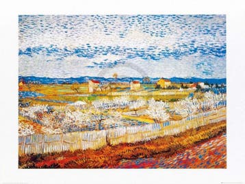 Kunstdruk Vincent Van Gogh - Pesco in fiore 80x60cm, Verzenden, Nieuw