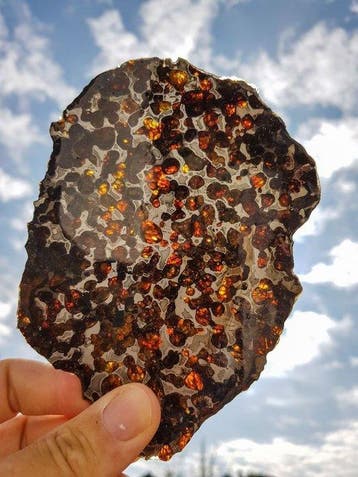 Pallasiet XXL Sericho pallasite - Hoogte: 15 cm - Breedte: