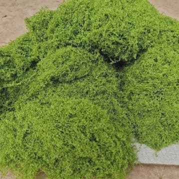 Kunstmos Groen - Decoratief Kunstgras voor DIY Projecten, Tu, Tuin en Terras, Verzenden, Nieuw