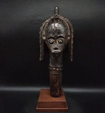 Reliekhouder - hoofd hoektand - Gabon (Zonder minimumprijs)