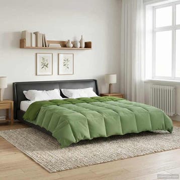vidaXL Zomer Dekbed 220 x 240 cm Zomer Microfiber (100%, Verzenden, Nieuw, Groen