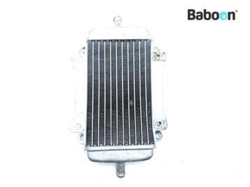 Radiateur Piaggio | Vespa GTS 300 2014-2016 (GTS300, Verzenden, Gebruikt