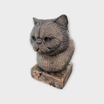 Bust of a exotic shorthair cat statue - home decor animal lo, Verzenden, Nieuw