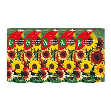 Bloemzaden zonnebloem | VT | 5 stuks (Gemengd, 5 m²), Tuin en Terras, Verzenden