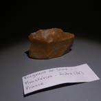 Neolithisch Silex. 6 cm lang. Mes - 5000 v.Chr. Bijl (Zonder