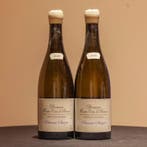 2022 Etienne Sauzet Jardin du Calvaire - Hauts Côtes de, Nieuw