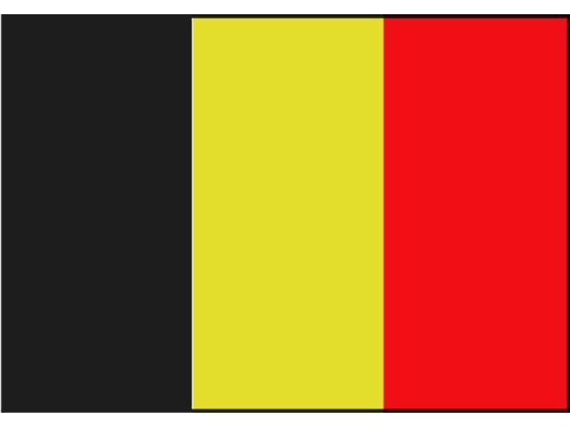 Belgische boot vlag 20 x 30 cm, Watersport en Boten, Accessoires en Onderhoud, Nieuw, Ophalen of Verzenden