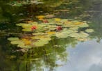 Emre Kinali - Green Pond Lilies