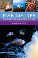 9781399415521 Marine Life of the North Sea and English Ch..., Verzenden, Nieuw, Lawson Wood