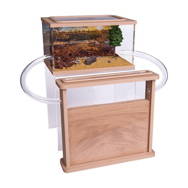 Mierenboerderij zand oogstmieren complete set (Messor barbar, Dieren en Toebehoren, Insecten en Spinnen