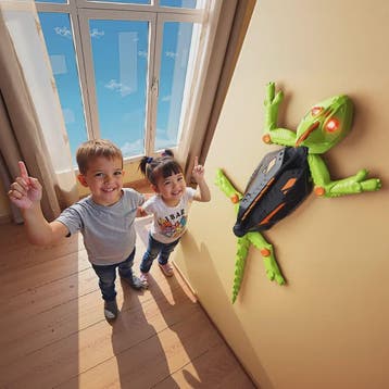 RC Kwallen Klimauto - Afstandsbedienbare Muurklimmende Gecko