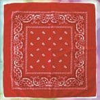 Boeren Zakdoek Rood, Ophalen of Verzenden, Nieuw, Feestartikel, Carnaval