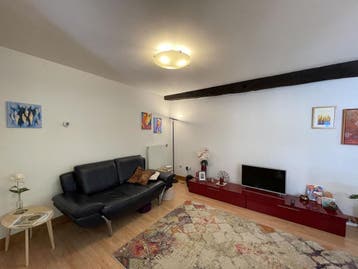 Huis Van Akenweg in Maastricht, Overige soorten, Maastricht