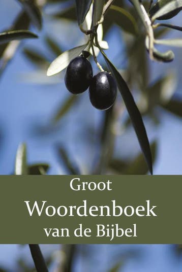 Groot Woordenboek Van De Bijbel O-Z | Nieuw, Ophalen of Verzenden, Nieuw, W. Moll; P.J. Veth; F.J. Domela Nieuwenhuis
