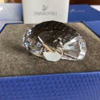 Swarovski - Beeldje - SCS “Wild Flower” 2017 Membership