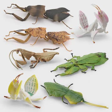 Realistische Insecten Model Figuren: Bidsprinkhaan, Bladwesp