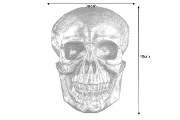 Exclusief wandsculptuur SKULL XXL 40cm gouden decoratieve, Ophalen of Verzenden, Nieuw