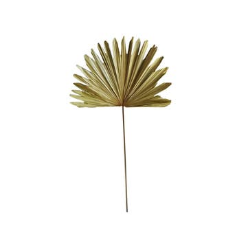 *palmblad tak gedroogd 103cm*, Verzenden, Nieuw