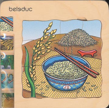 Groeipuzzel Rijst (4 lagen), Verzenden, Nieuw