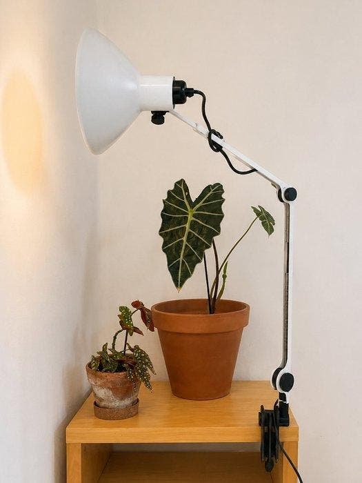 Martinelli Luce - Elio Martinelli - Tafellamp - model 672 -, Antiek en Kunst, Antiek | Lampen