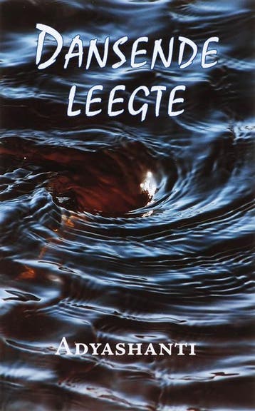 Dansende leegte 9789077228579 Adyashanti, Boeken, Verzenden, Zo goed als nieuw, Adyashanti