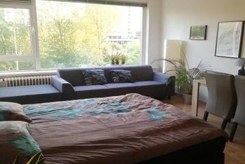 Kamer De Lairesselaan in Rotterdam, 20 tot 35 m², Rotterdam