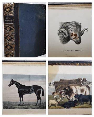 W.J. Miles - Modern Practical Farriery. A Complete Guide to