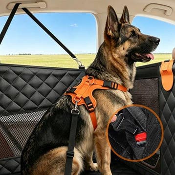 Nobleza autostoel hond - Hondenmand auto - Hondenstoel auto, Verzenden, Zo goed als nieuw