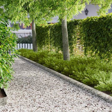vidaXL Gazonrand 20 st 100 x 15 cm Staal zilver, Verzenden, Nieuw