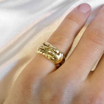 Gouden fantasie ring, Gebruikt, Ophalen of Verzenden, Kleiner dan 17, Dame