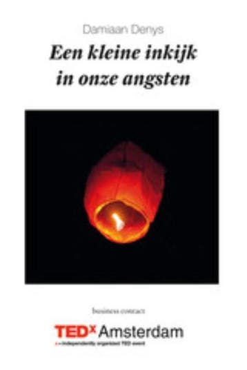 Een kleine inkijk in onze angsten - Damiaan Denys, Verzenden, Zo goed als nieuw, Damiaan Denys