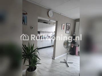 Ruilen in Zaanstad: Jouw nieuwe thuis (Koog aan de Zaan)